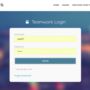 Let’s start using TeamWork Let’s start using TeamWork