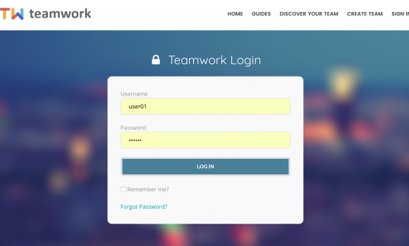 Let’s start using TeamWork Let’s start using TeamWork